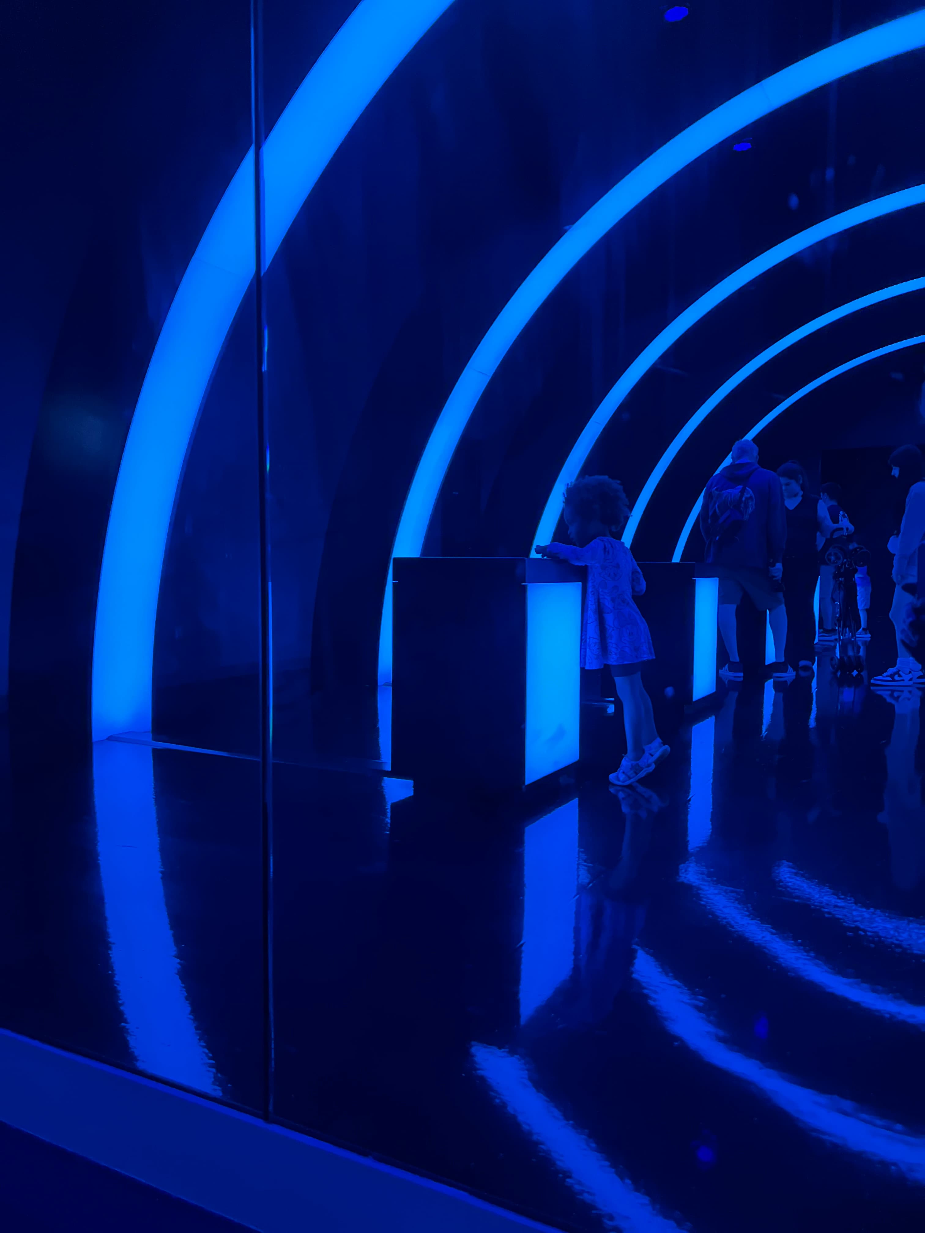 A blue neon light installation with concentric rings and mirror reflections